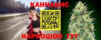 спиды Новодвинск