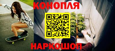 дживик Новозыбков