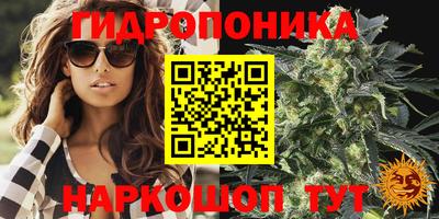 спиды Новодвинск