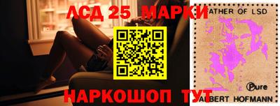 дживик Новозыбков