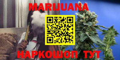 спиды Новодвинск
