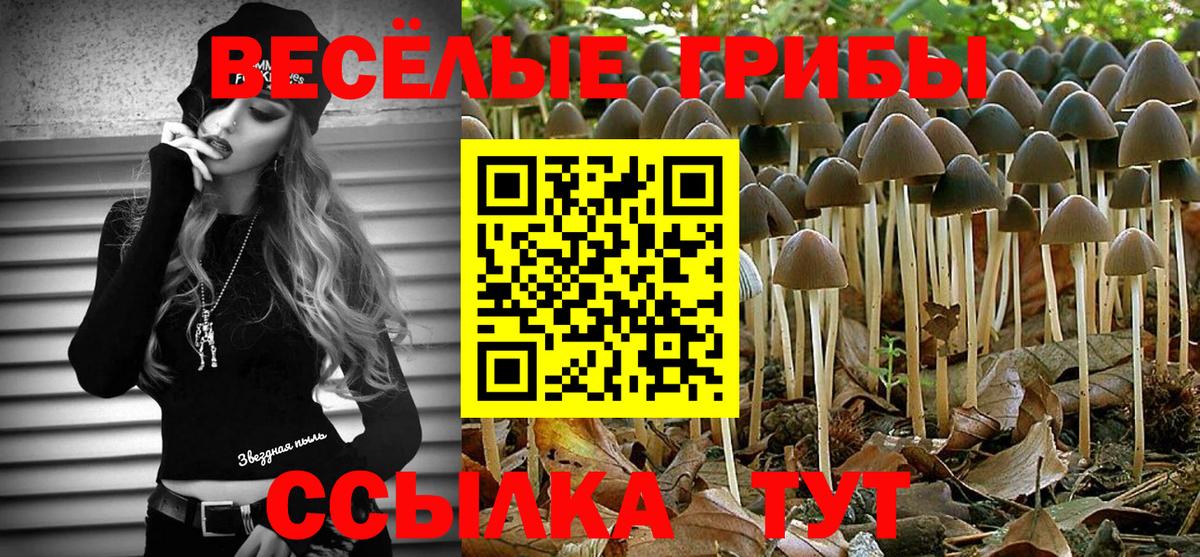 Галлюциногенные грибы MAGIC MUSHROOMS  Вход с VPN  Псилоцибиновые грибы мицелий  Старая Купавна 